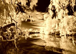 Sepia