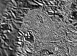 Skamielina
