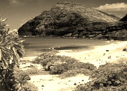 Sepia