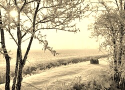 Sepia