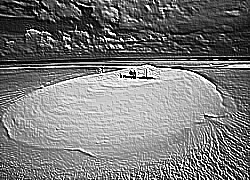 Skamielina