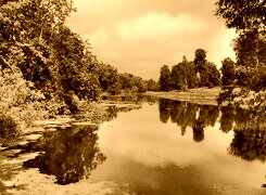 Sepia