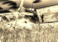 Sepia + Negatyw