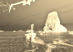 Sepia + Negatyw