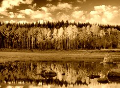 Sepia