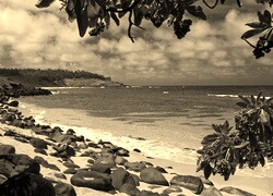 Sepia