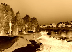 Sepia + Negatyw
