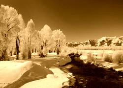 Sepia