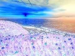 Negatyw