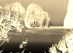 Sepia + Negatyw