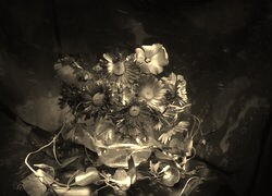 Szary + Sepia