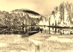 Sepia + Negatyw