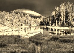 Szary + Sepia