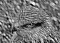 Skamielina
