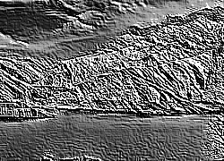 Skamielina