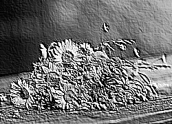 Skamielina