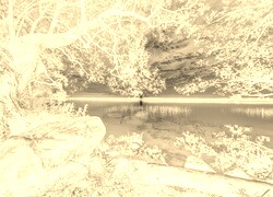Sepia + Negatyw