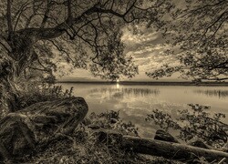 Sepia