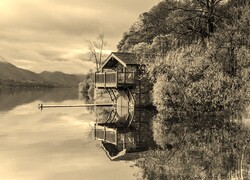 Szary + Sepia
