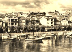 Szary + Sepia