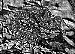 Skamielina