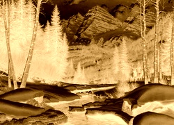 Sepia + Negatyw