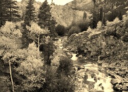 Szary + Sepia
