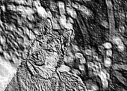 Skamielina
