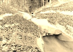 Sepia + Negatyw