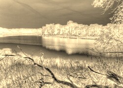 Sepia + Negatyw
