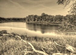 Sepia