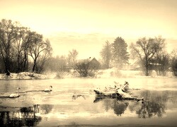 Szary + Sepia