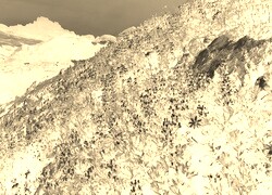 Sepia + Negatyw