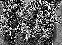 Skamielina