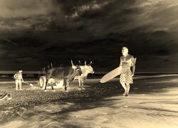 Sepia + Negatyw