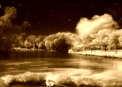 Sepia