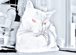 Negatyw