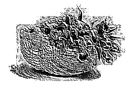 Skamielina