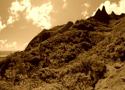 Sepia