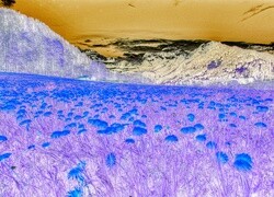 Negatyw