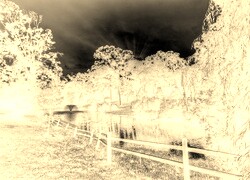 Sepia + Negatyw