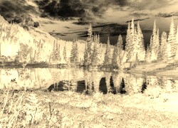 Sepia + Negatyw