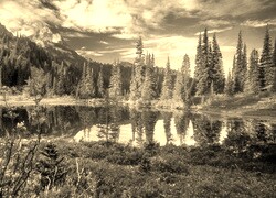 Sepia