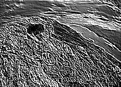 Skamielina