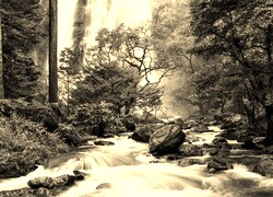 Szary + Sepia