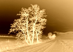Sepia + Negatyw