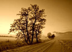 Sepia