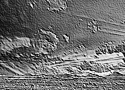 Skamielina