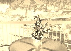 Sepia + Negatyw