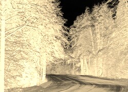 Sepia + Negatyw